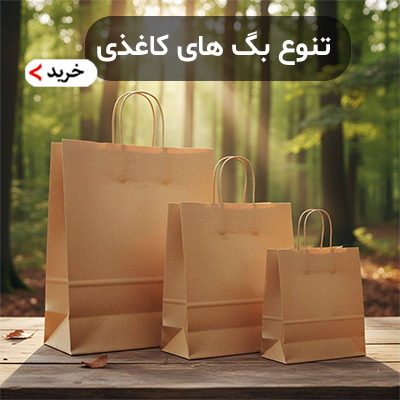 بگ کاغذی